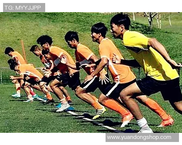 拯救足球的未来：重塑青训体系与职业联赛的可持续发展之路